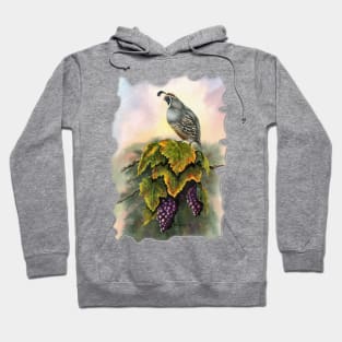 Vineyard Quail Hoodie